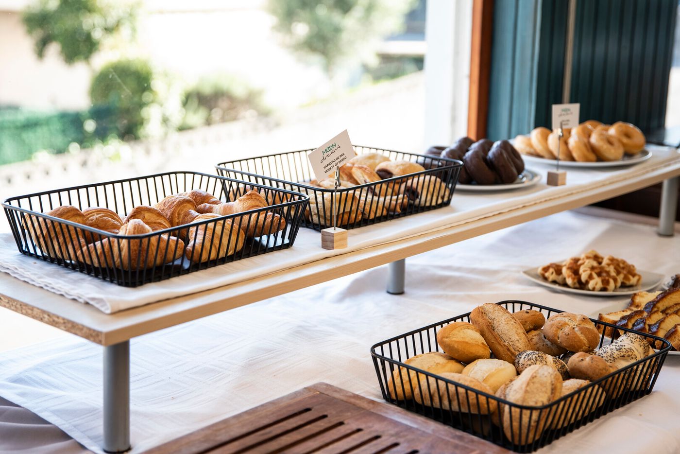 12.02.26 BLUESEA Noja