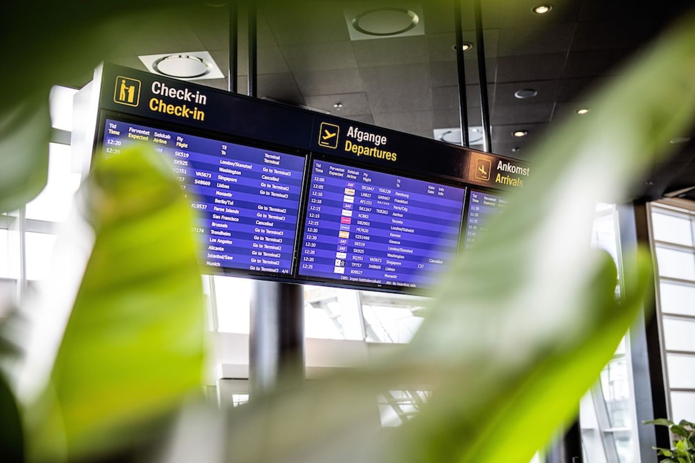 expedia-3165539-8