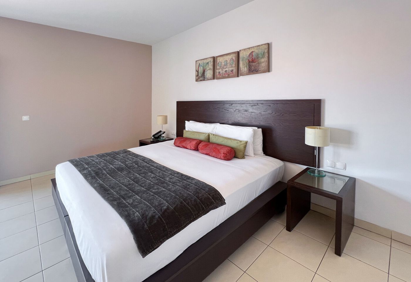 19.02.26 Melia Tortuga