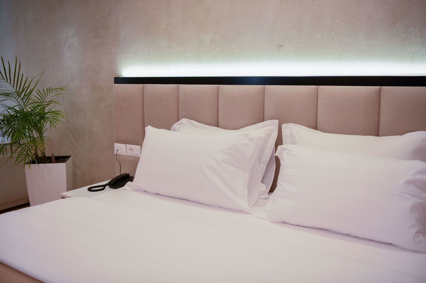 Zanzi Hotel 18.08.26