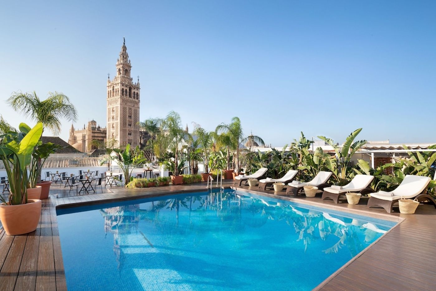 expedia-3163842-1