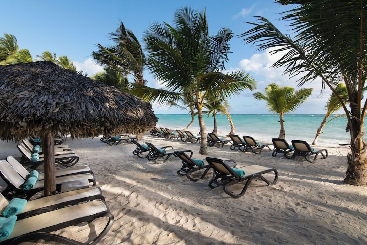 Impressive Premium Punta Cana