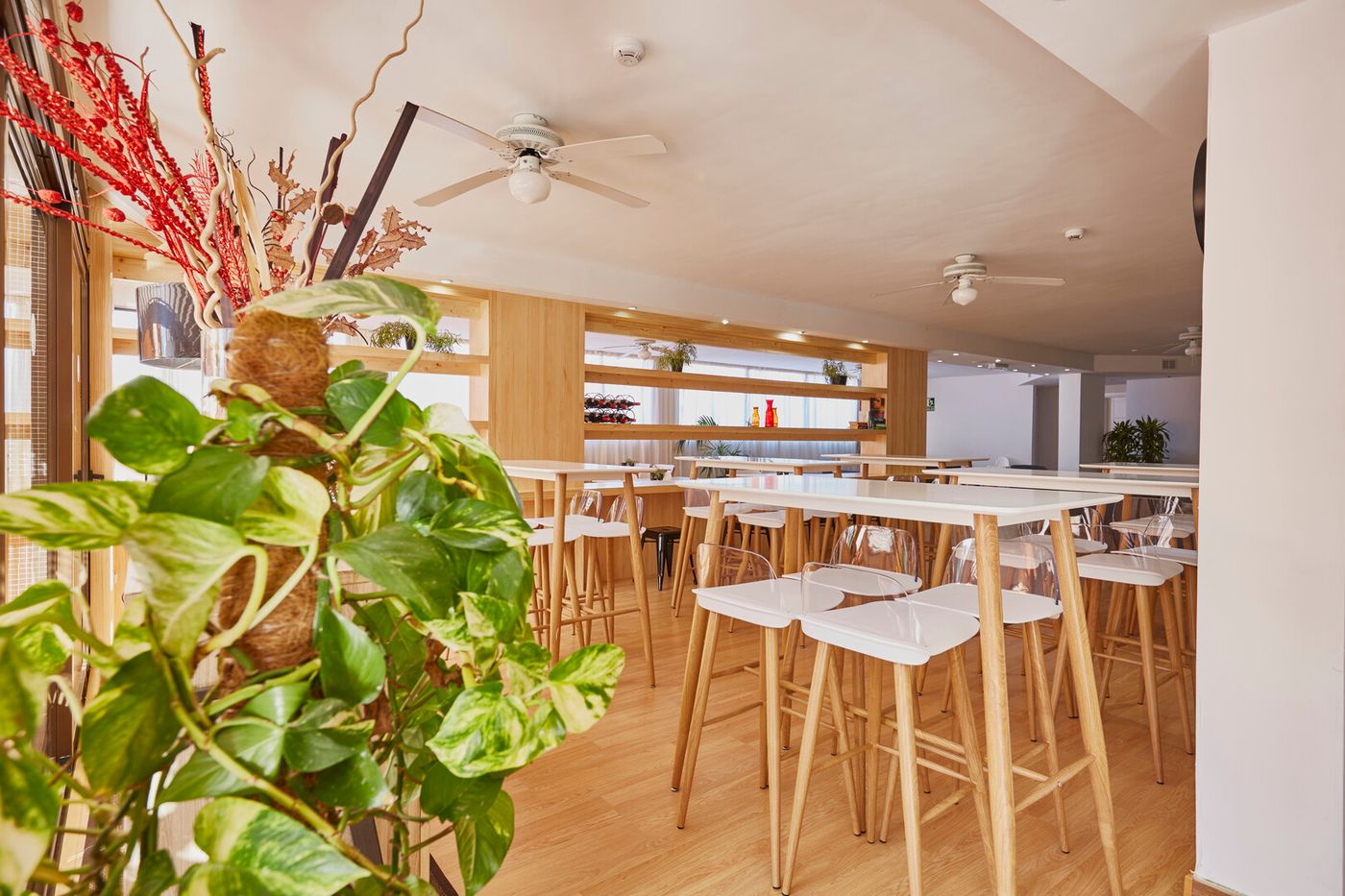 24.03.26 Coral Los Alisios