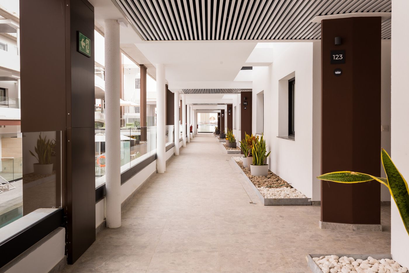 24.02.26 Coral Cotillo Reef