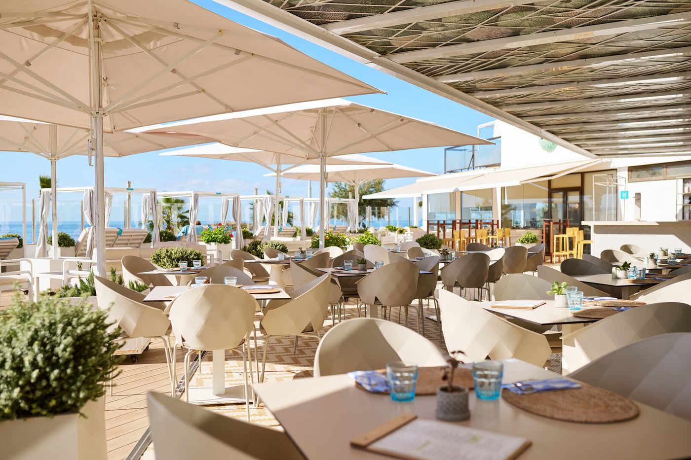 Aluasoul Palma - Adults Only