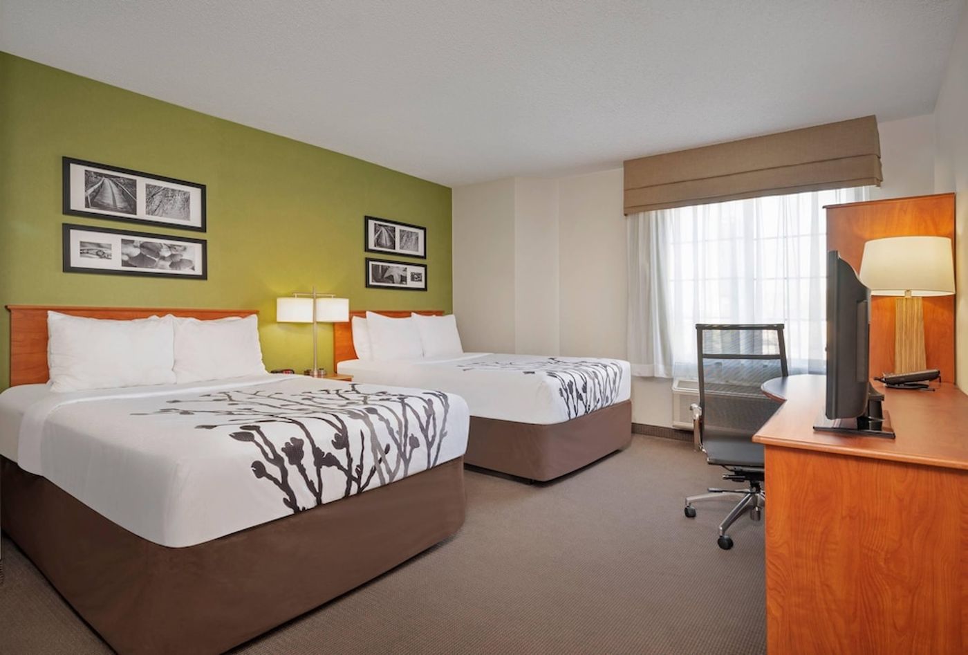 expedia-3158675-29