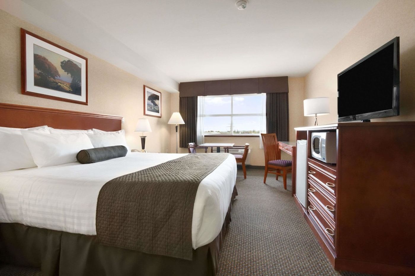 expedia-3162748-5