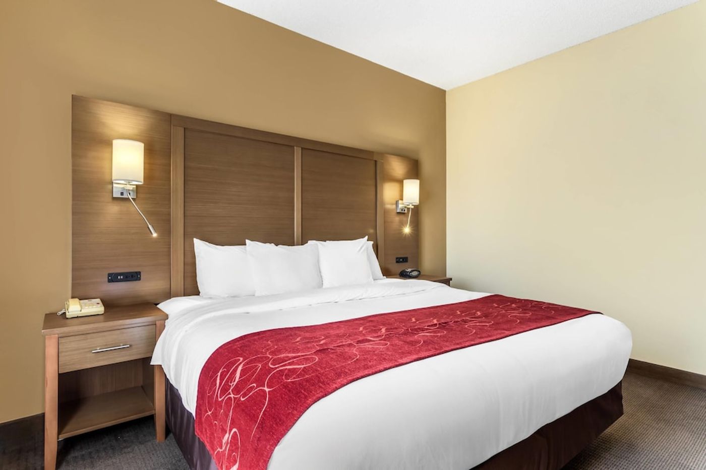 expedia-3162295-24
