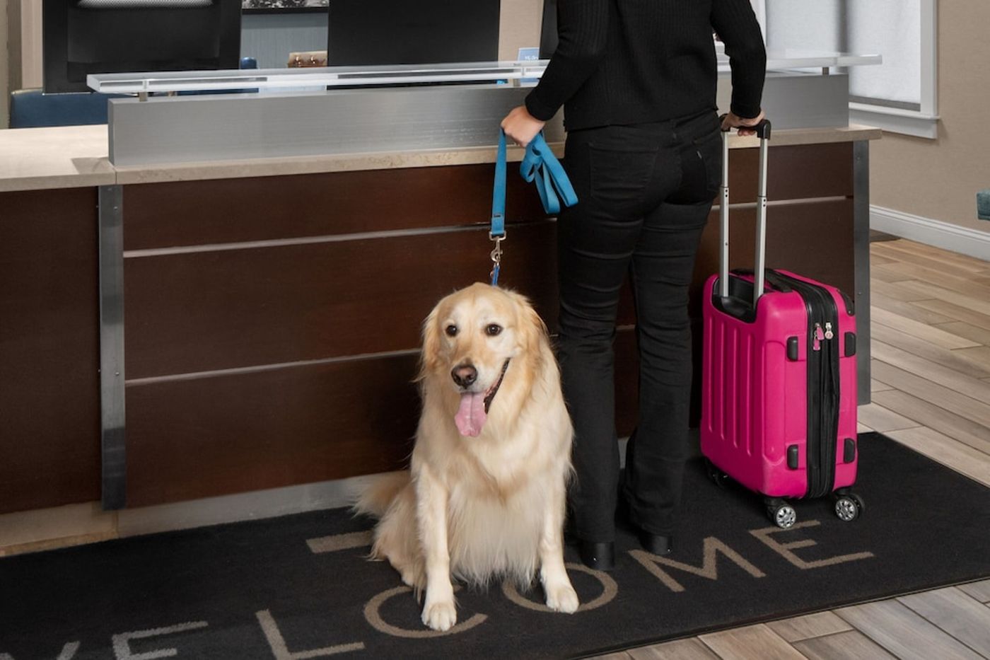 expedia-3160376-27