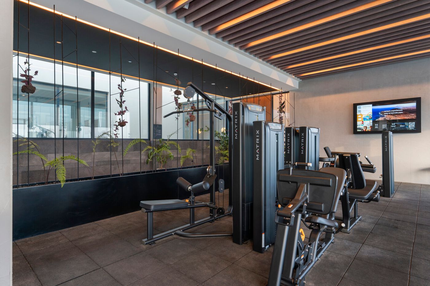 13.02.26 Barcelo Playa Blanca