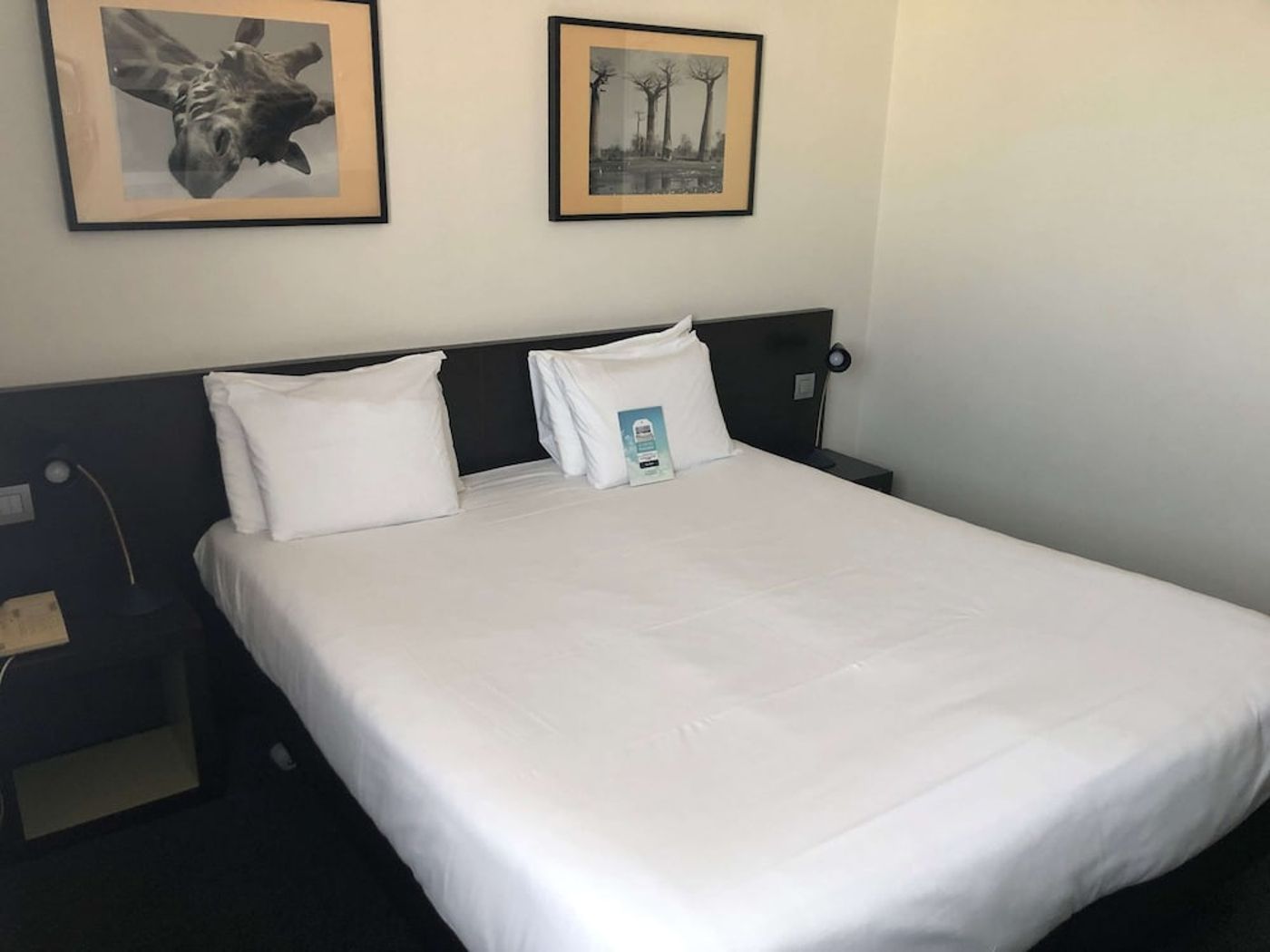 expedia-3081106-18