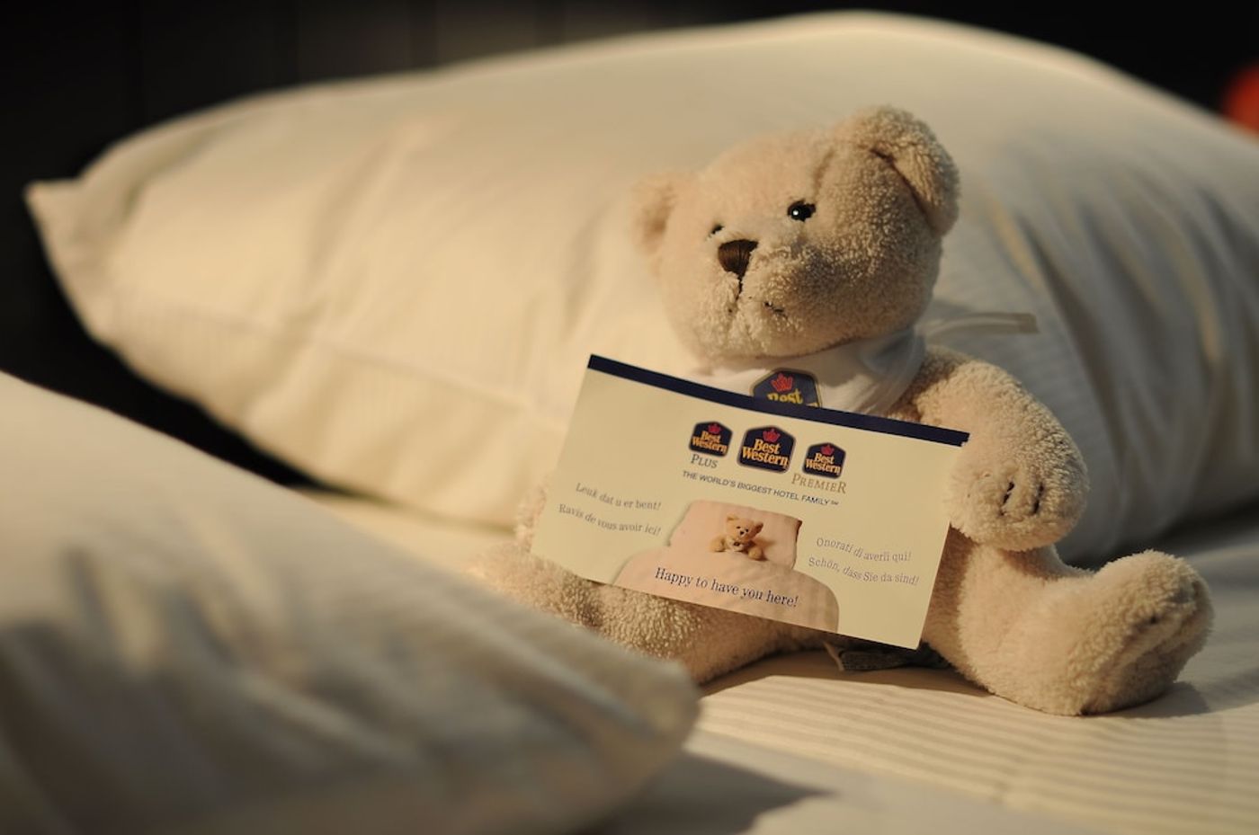 expedia-3166111-20