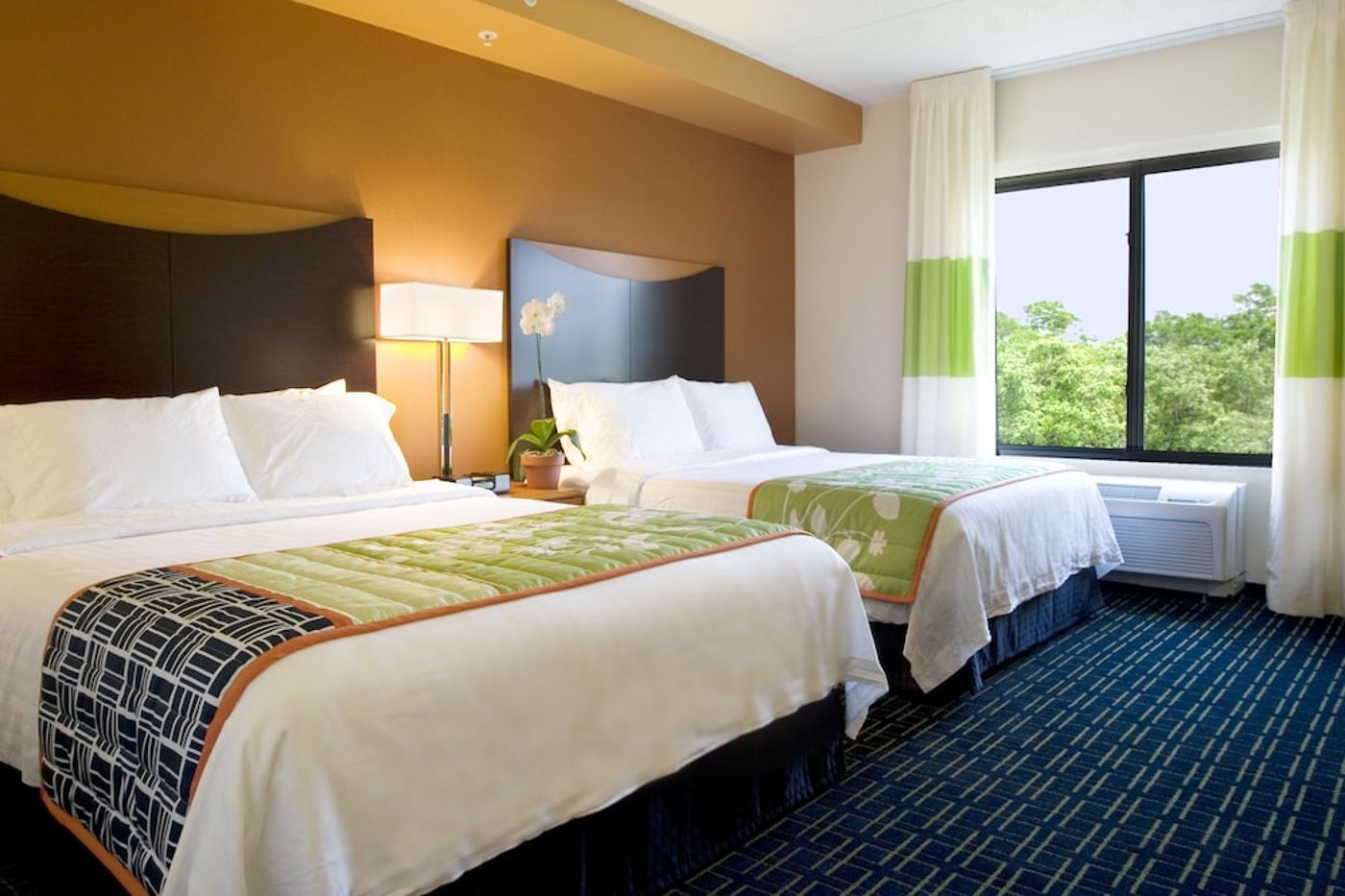 expedia-3158650-3