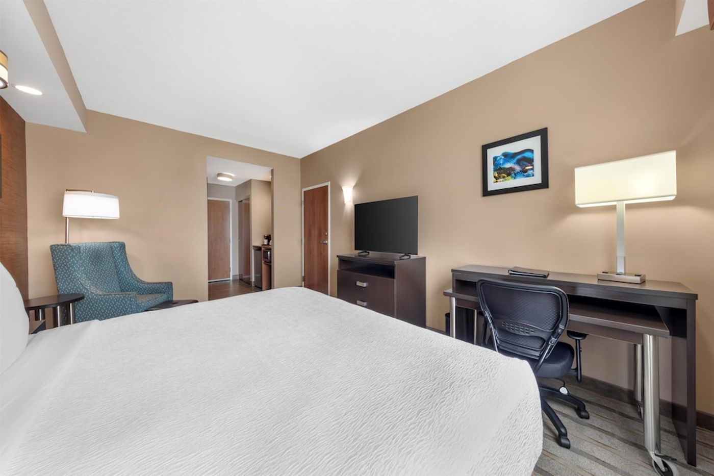 expedia-3162359-20