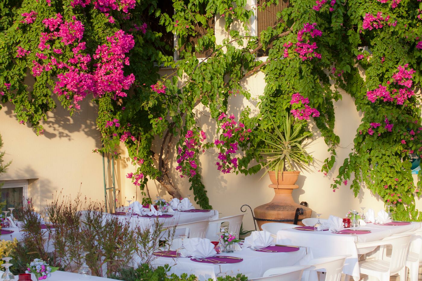 Asya Blue Apartments