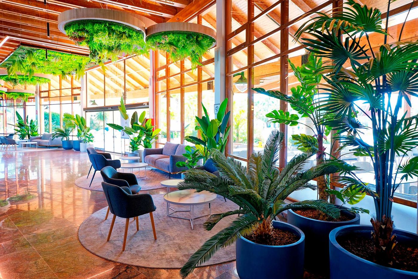 10.03.26 Servatur Monte Feliz