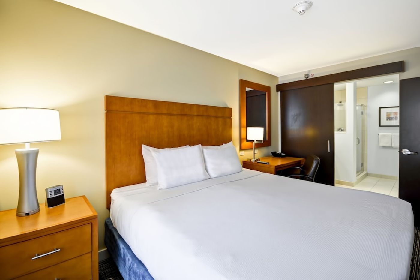 expedia-3162152-22
