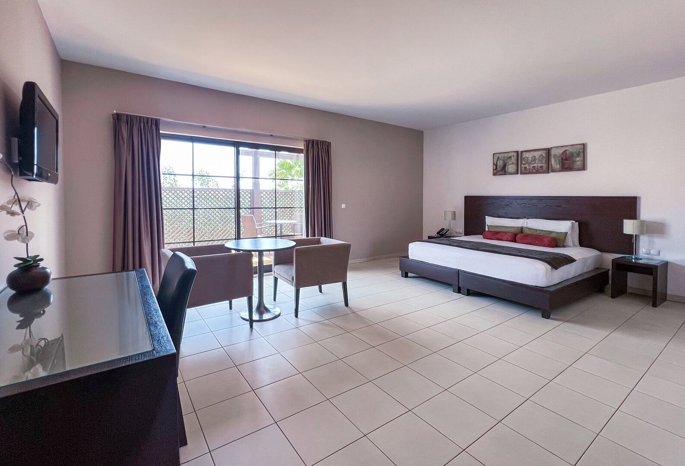 19.02.26 Melia Tortuga