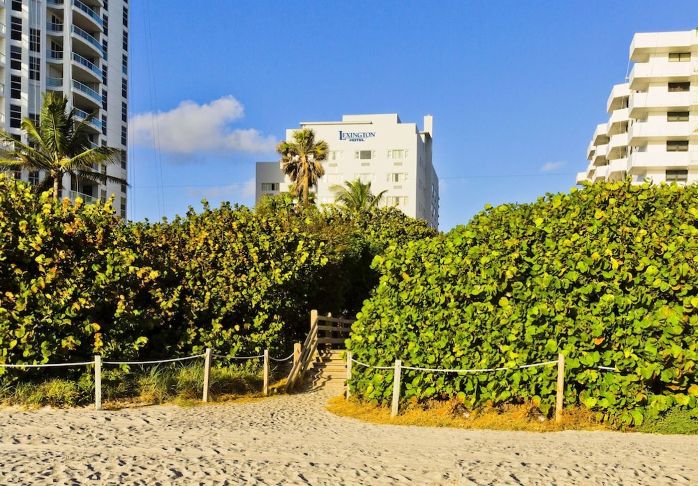 expedia-3162340-30