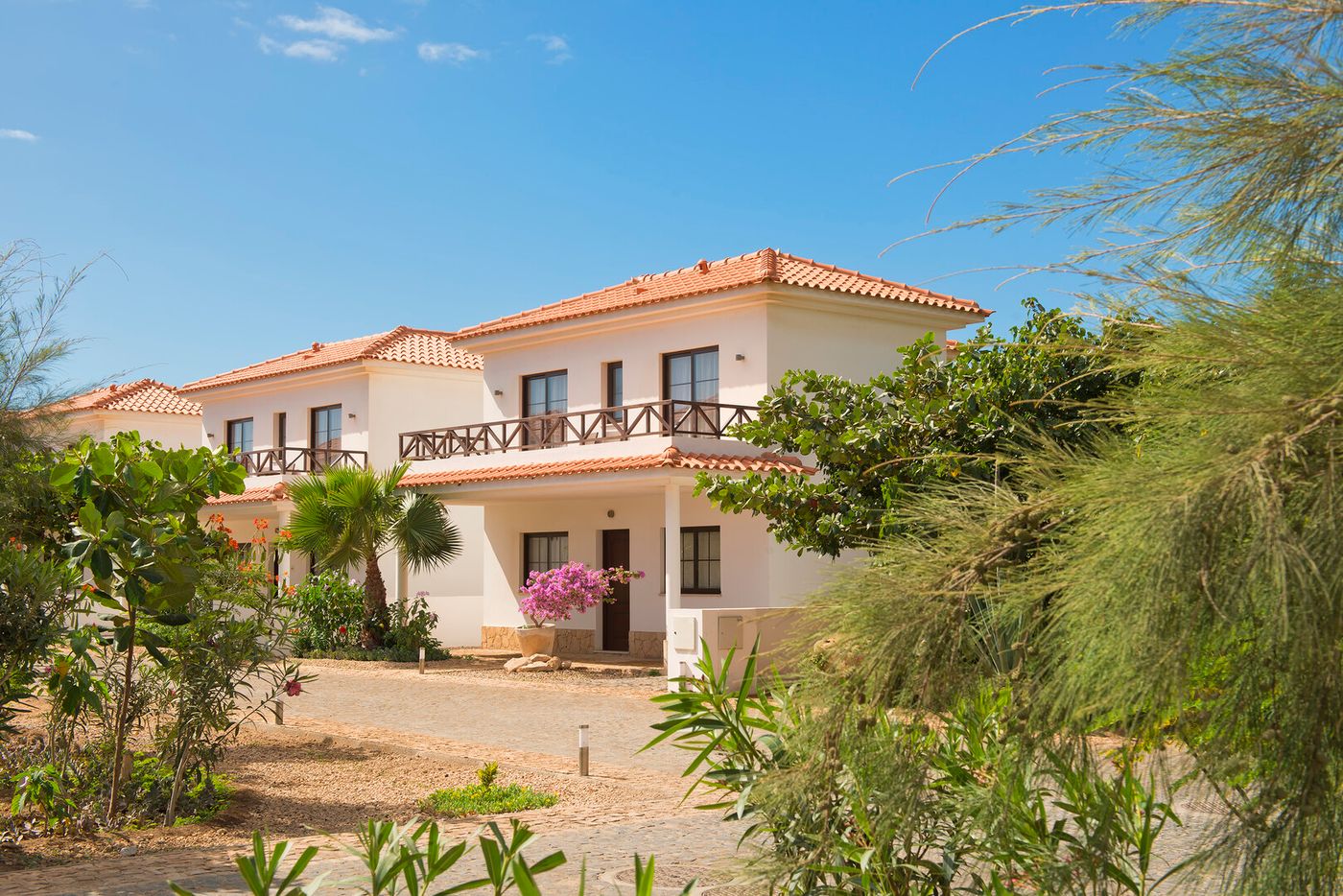 19.02.26 Melia Tortuga