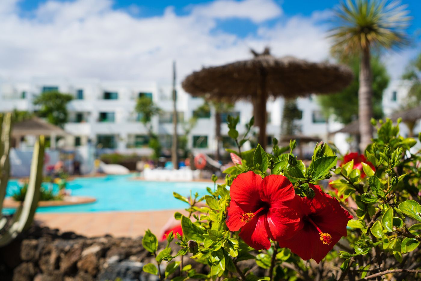 31.05.26 Galeon Playa Apartments
