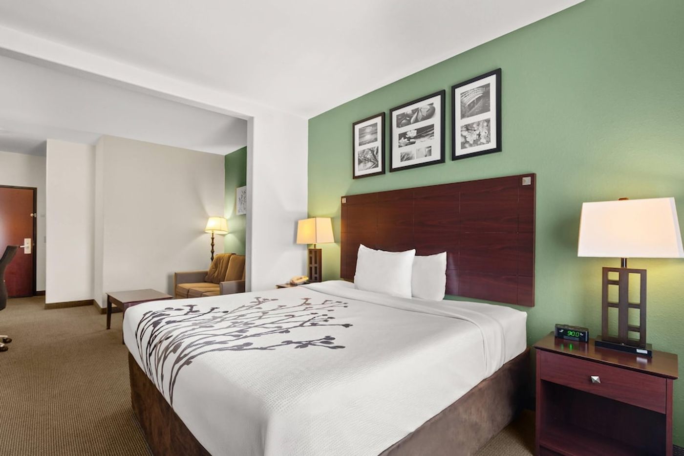 expedia-3162296-24