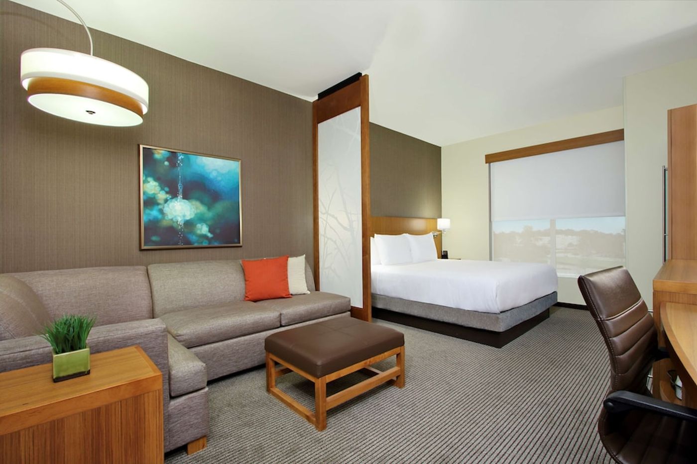 expedia-3159223-22