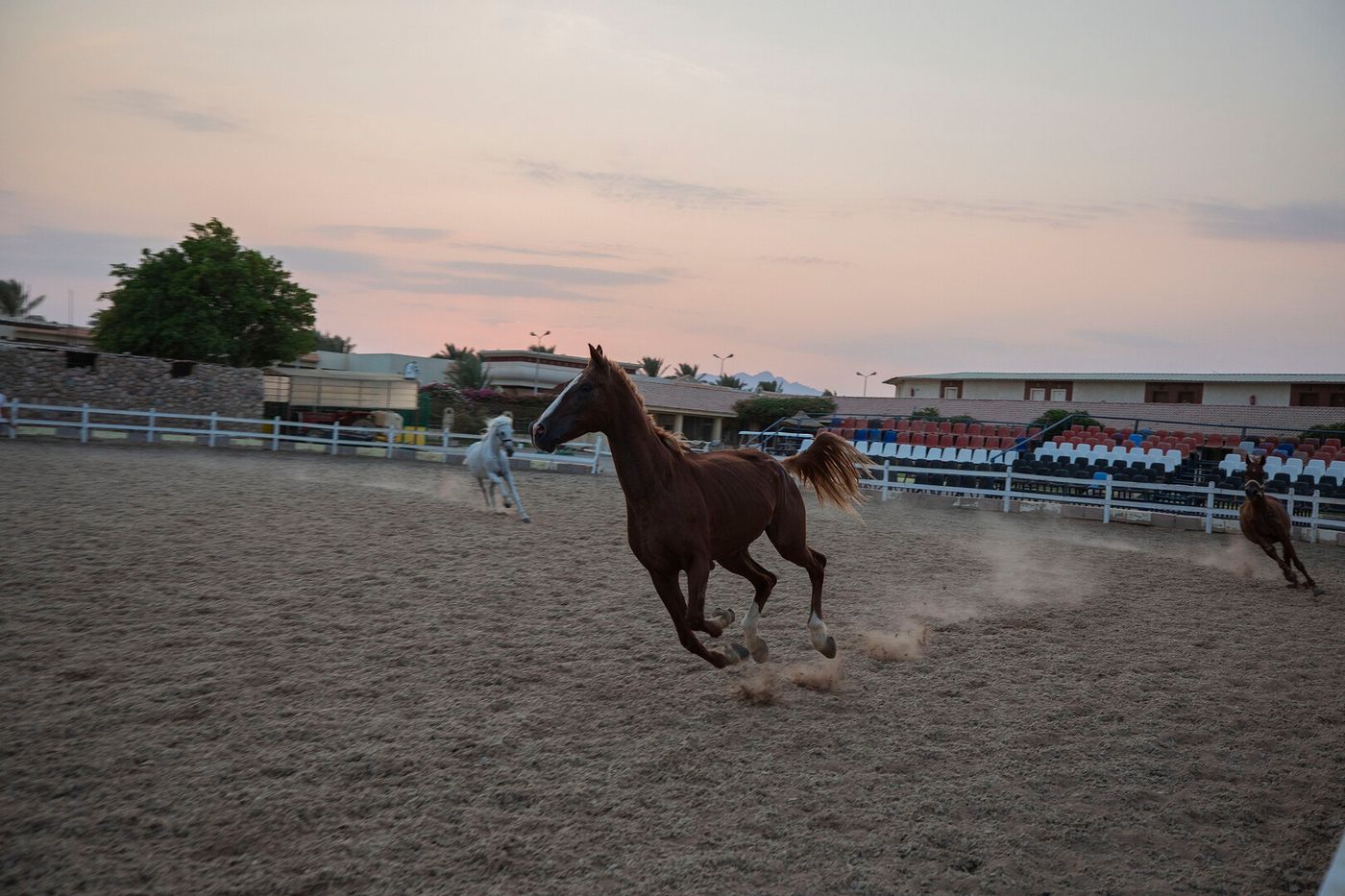Concorde El Salam Sharm El Sheikh Sports Hotel 19.02