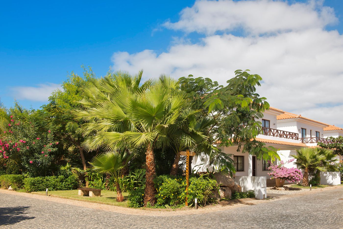 19.02.26 Melia Tortuga