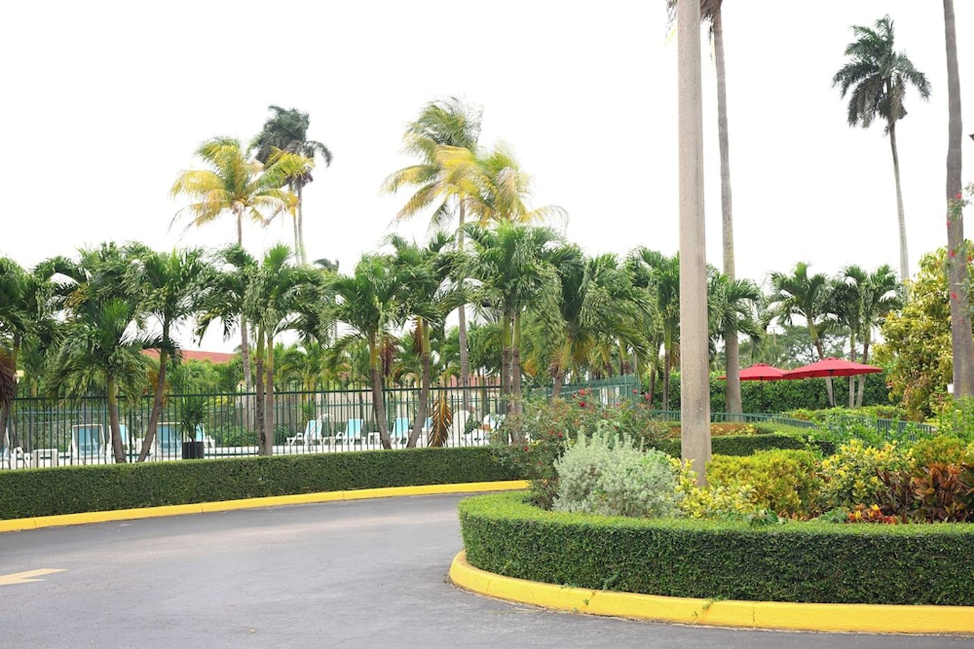 expedia-3165898-13