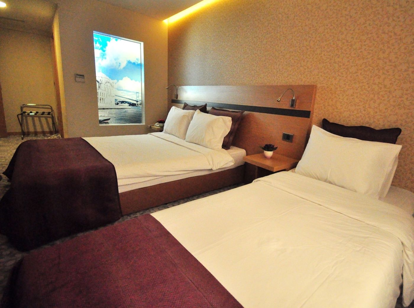 expedia-3161880-13