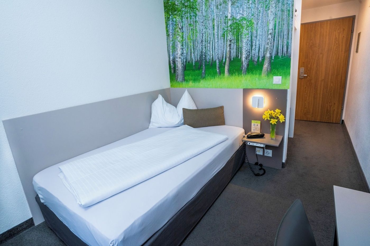 expedia-3157719-28