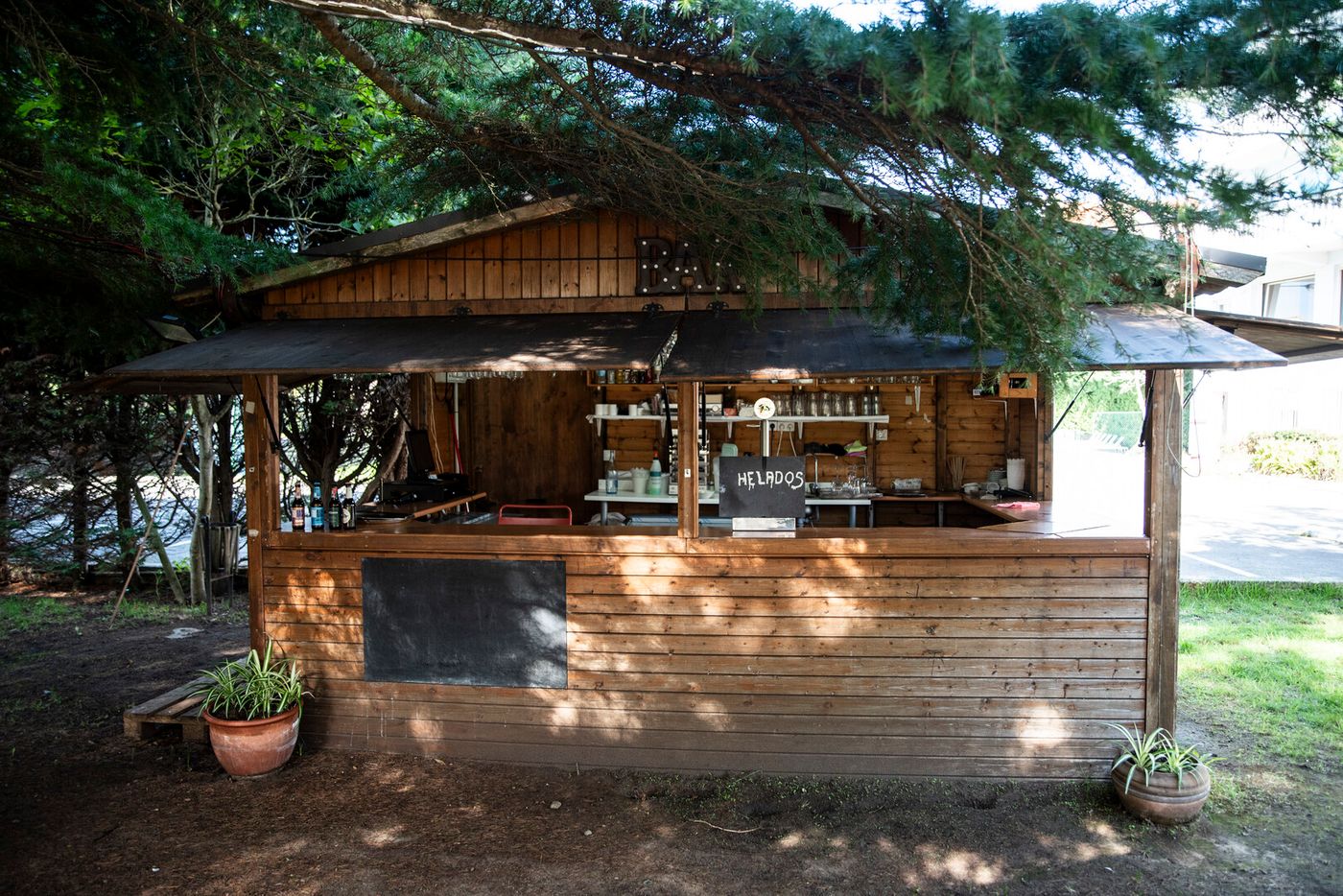 12.02.26 BLUESEA Noja