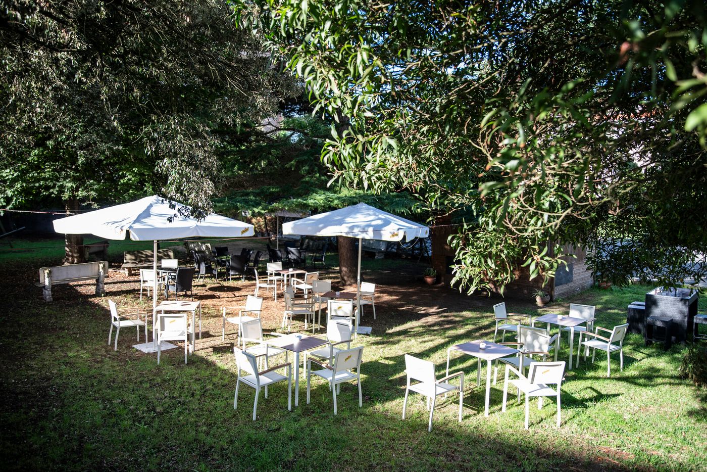 12.02.26 BLUESEA Noja