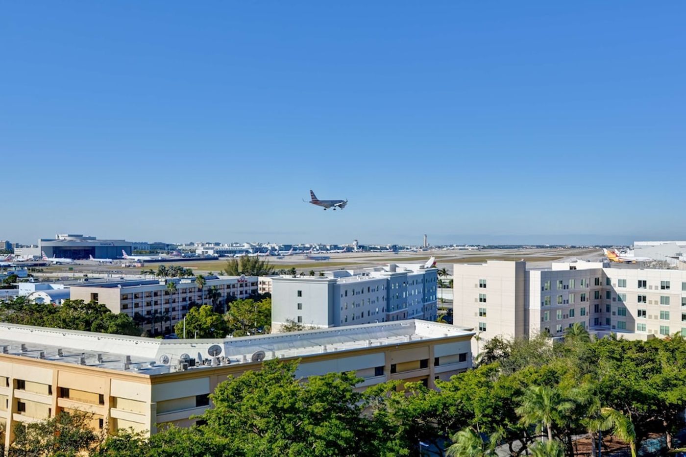 expedia-3162345-2