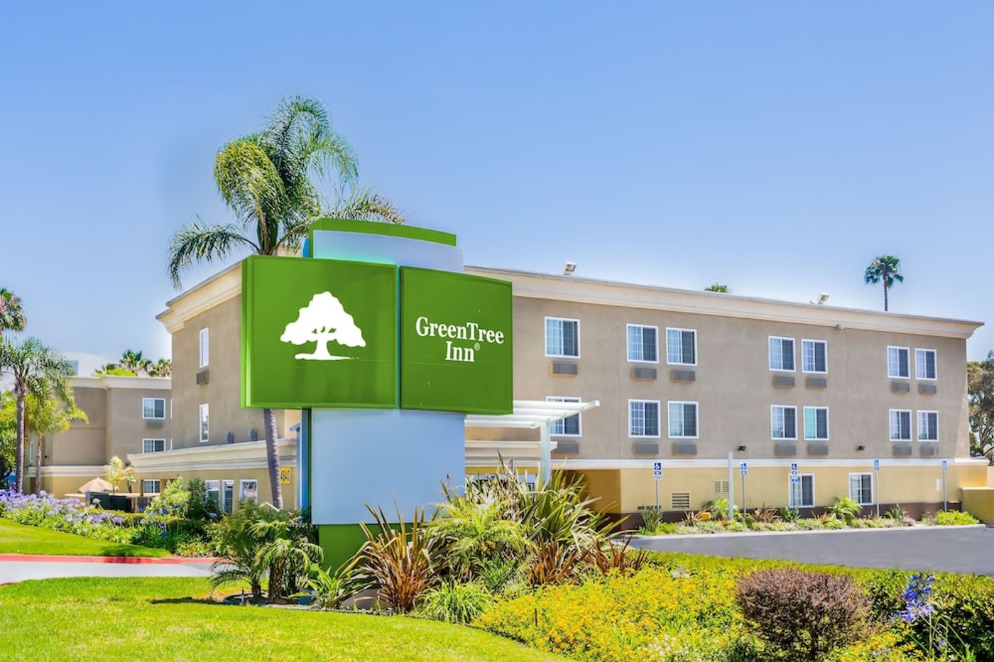 expedia-3158937-1