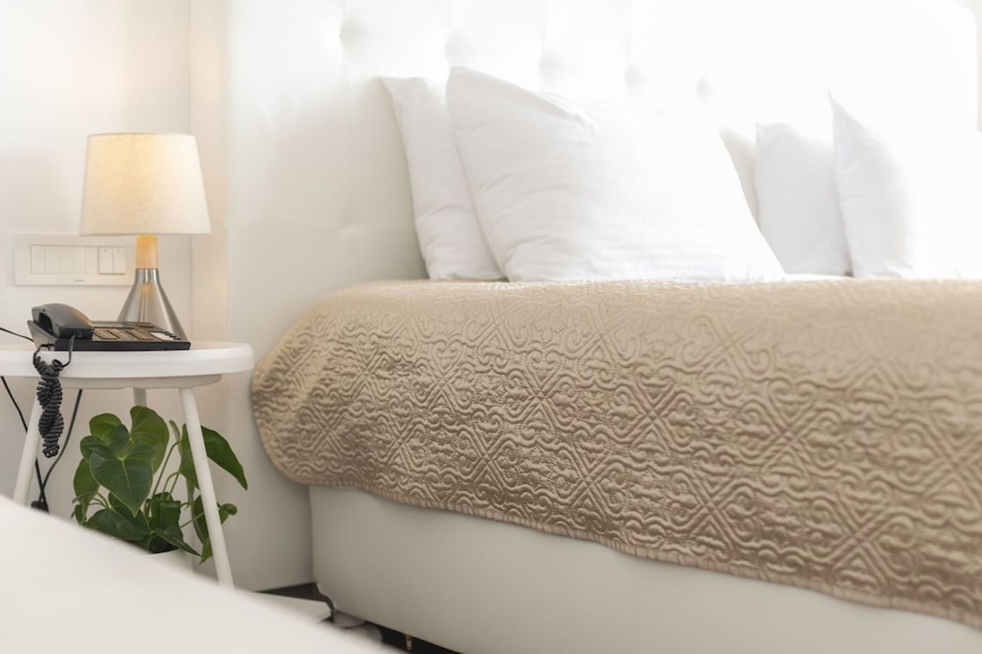 expedia-3156300-29