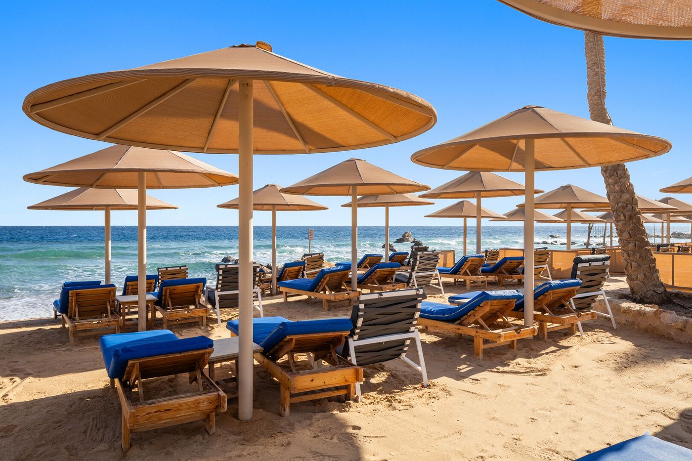 Pickalbatros Citadel 12.02