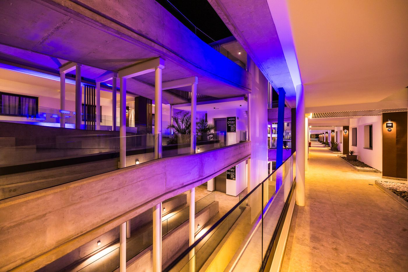 24.02.26 Coral Cotillo Reef