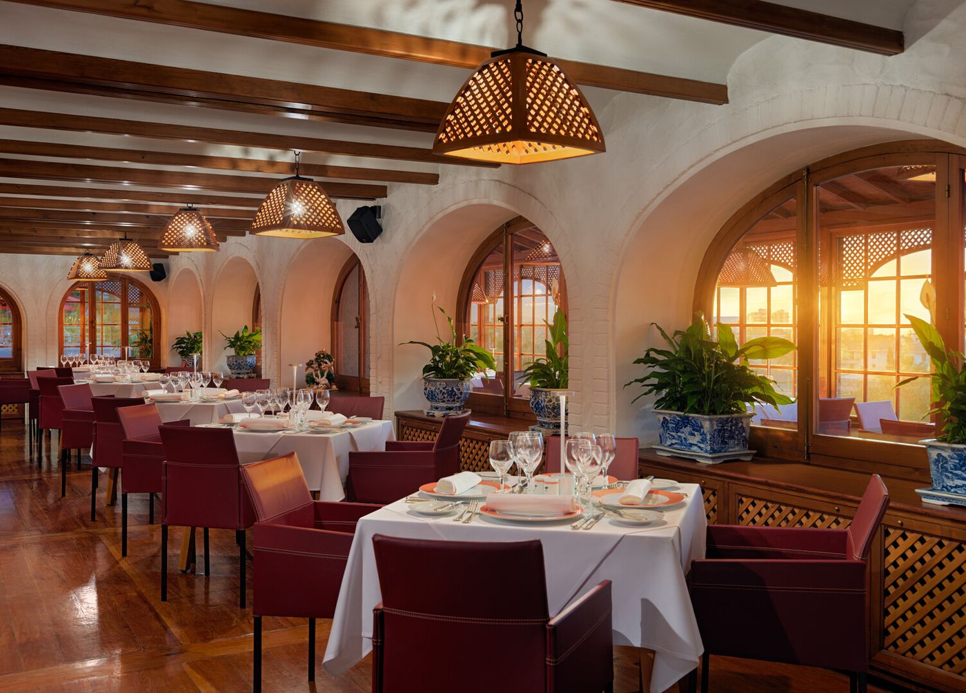 04.02.26 Hotel Botanico