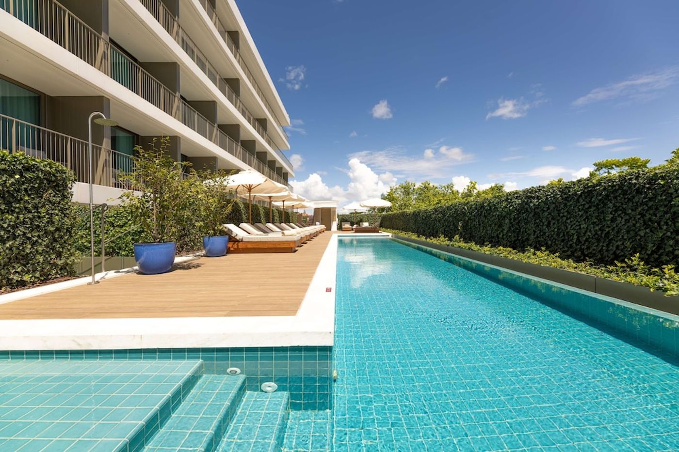 expedia-3156646-1