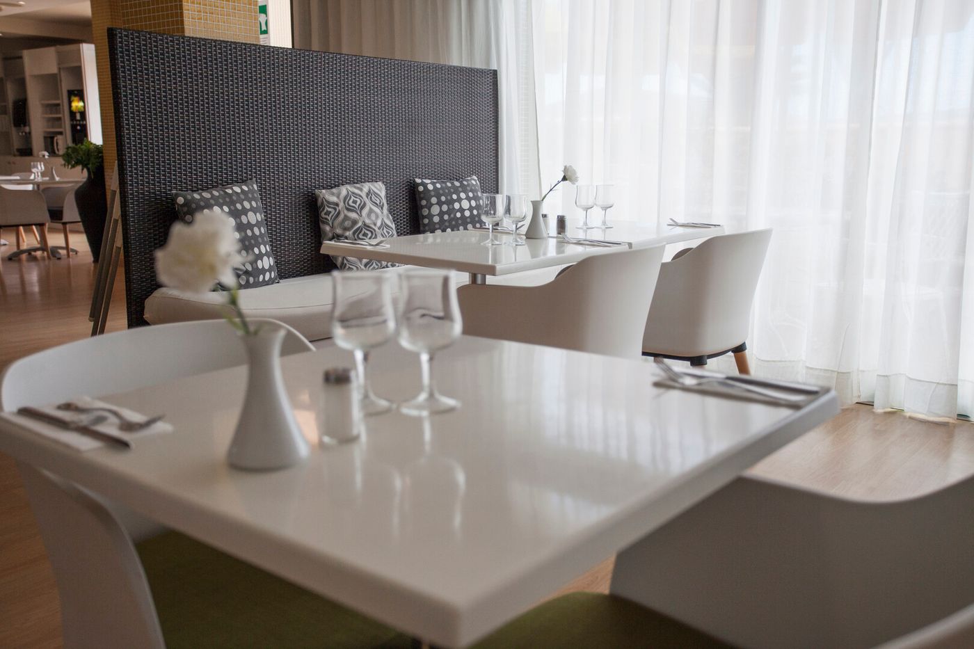 24.03.26 Coral Los Alisios