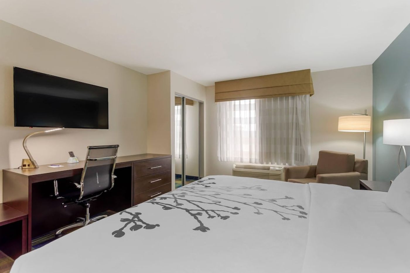 expedia-3161916-27