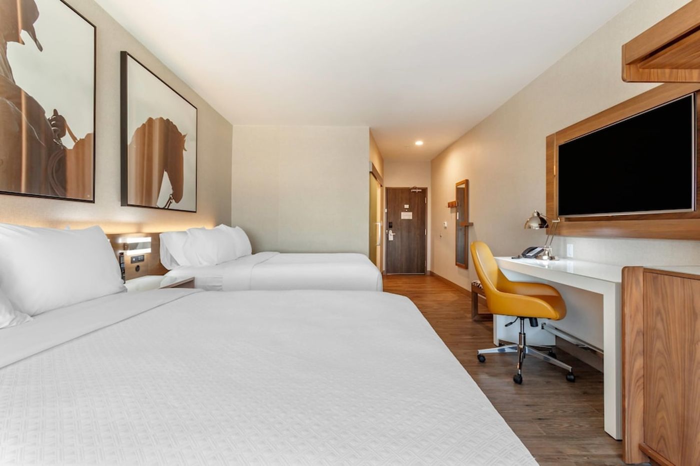 expedia-3159179-21