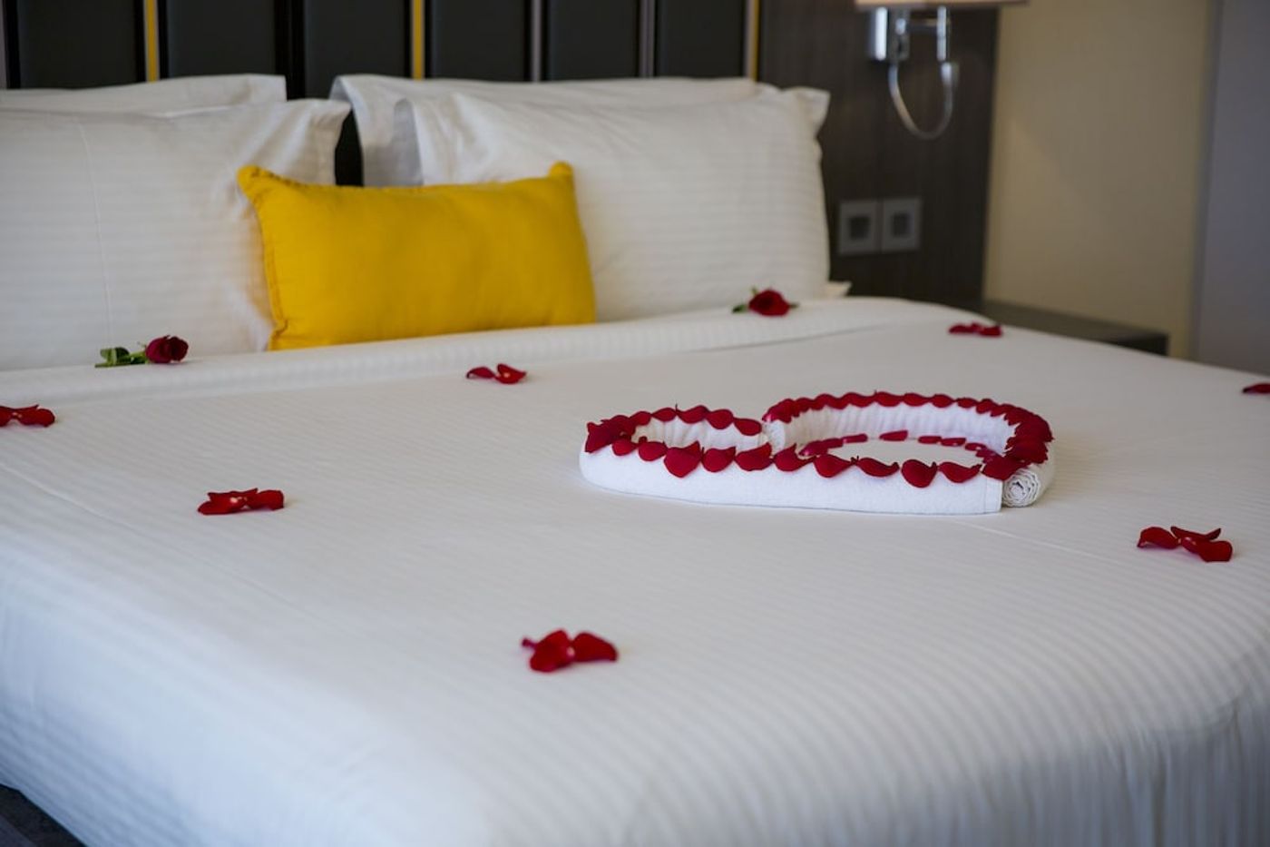 expedia-3165242-14