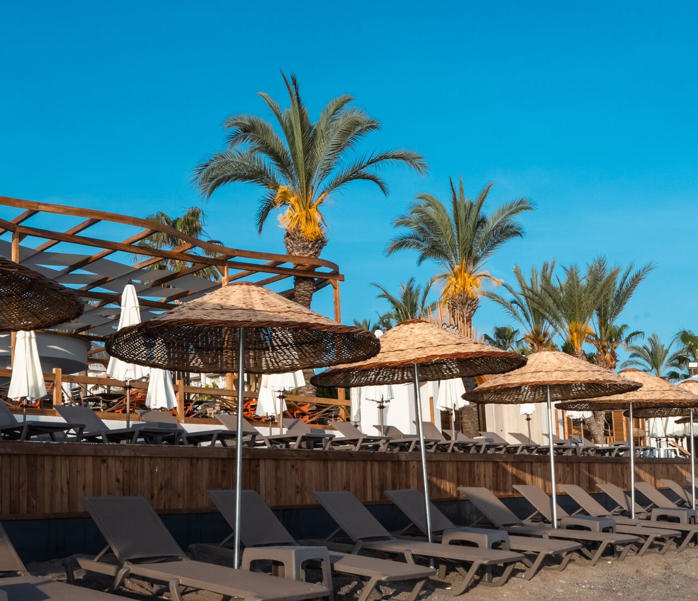 Calido Sol Hotel