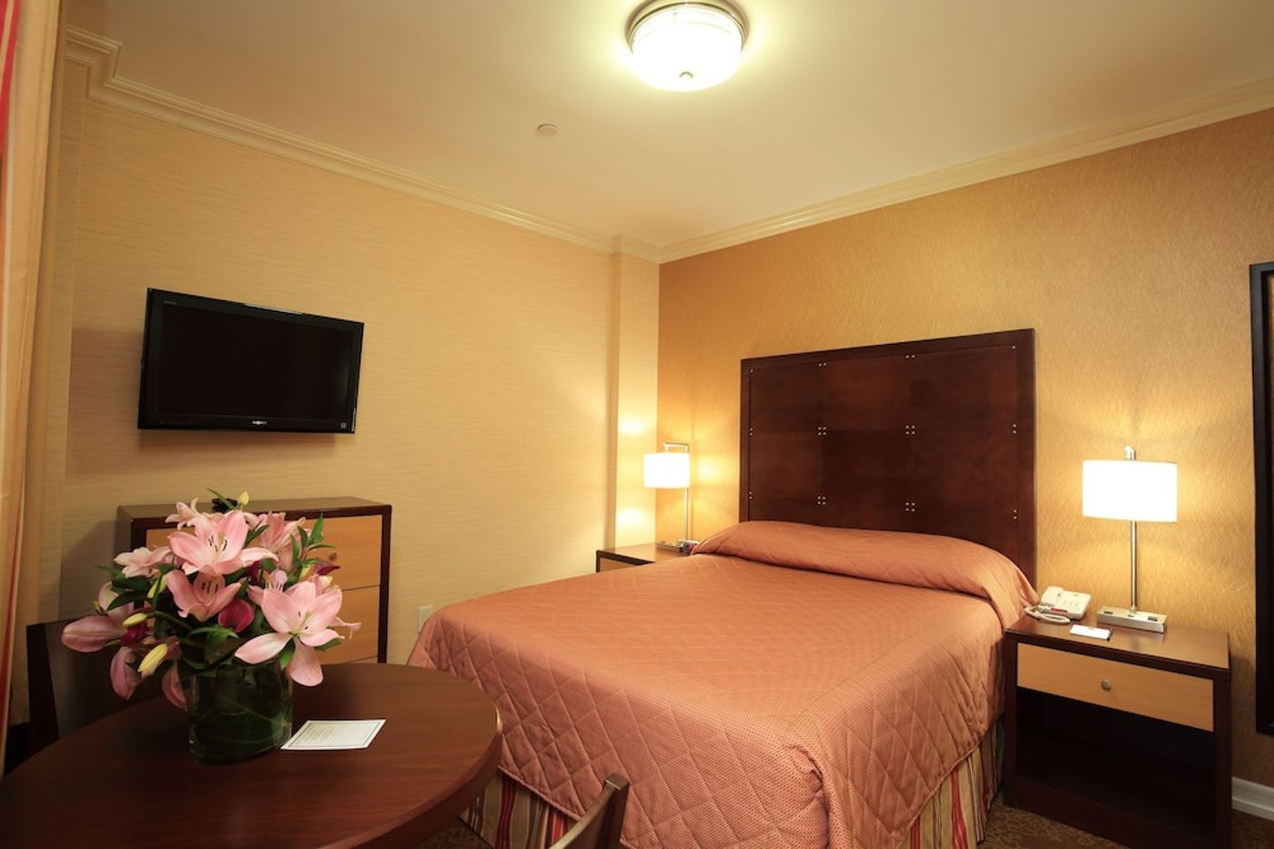 expedia-3158022-8