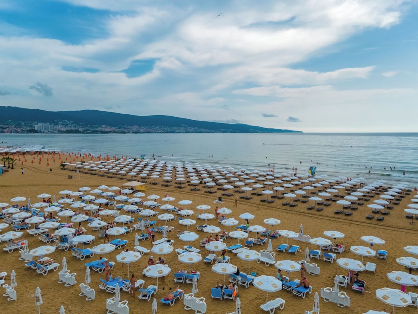 expedia-3156442-80