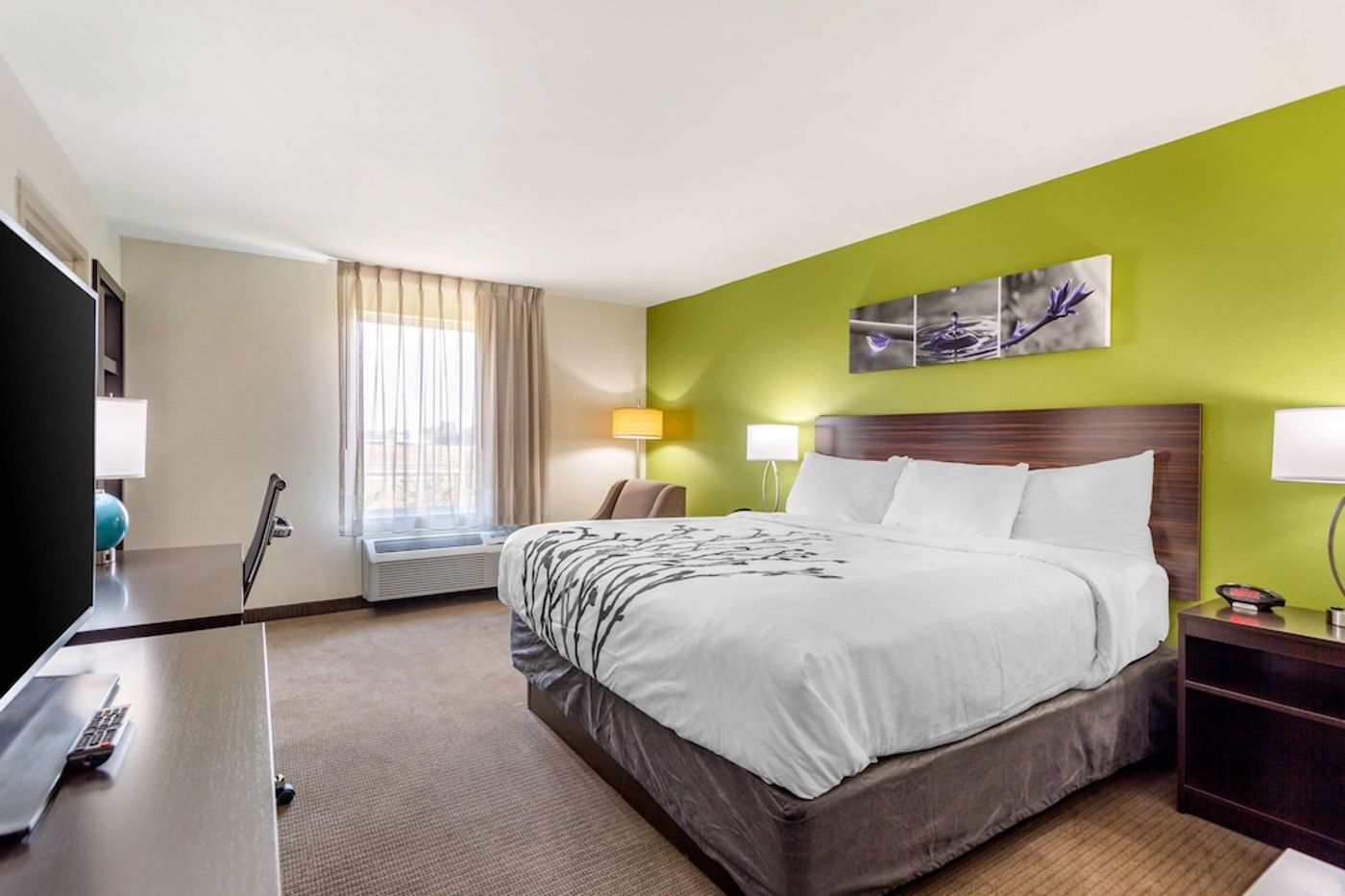 expedia-3160923-8