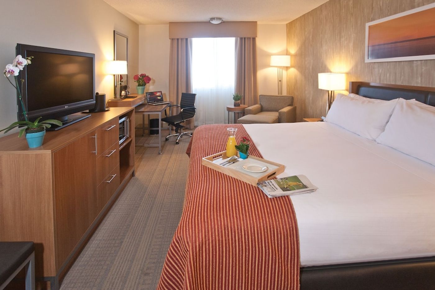expedia-3159643-2